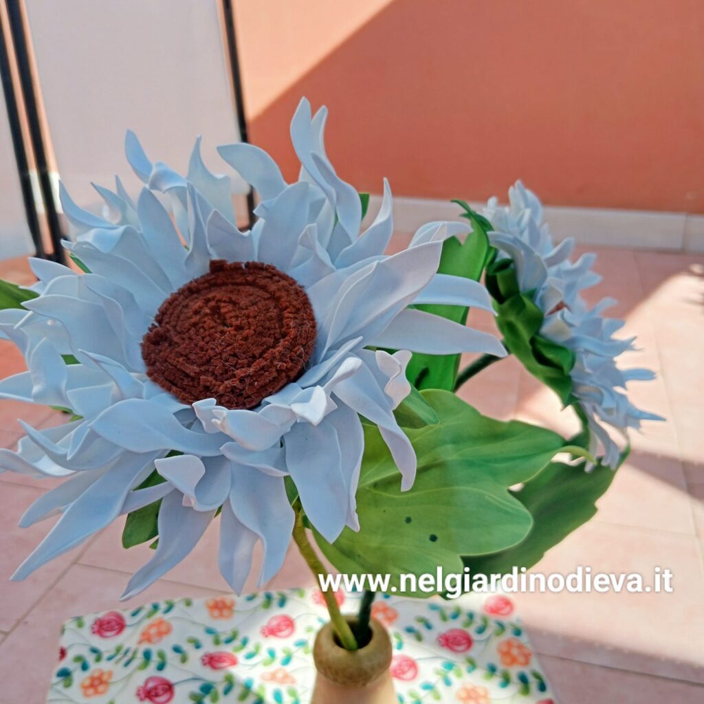 girasole bianco