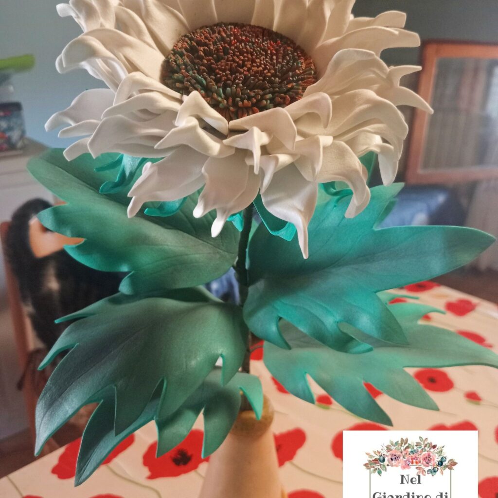 girasole bianco