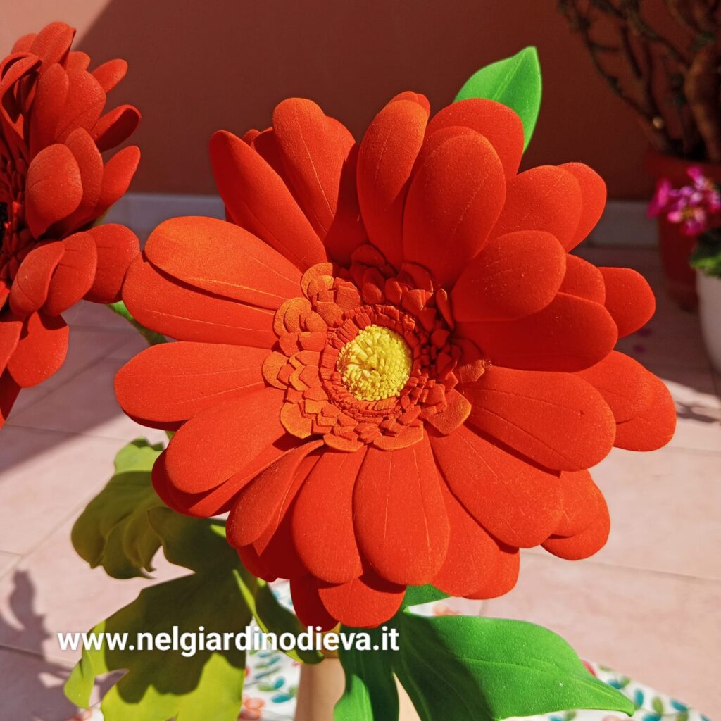gerbera rossa