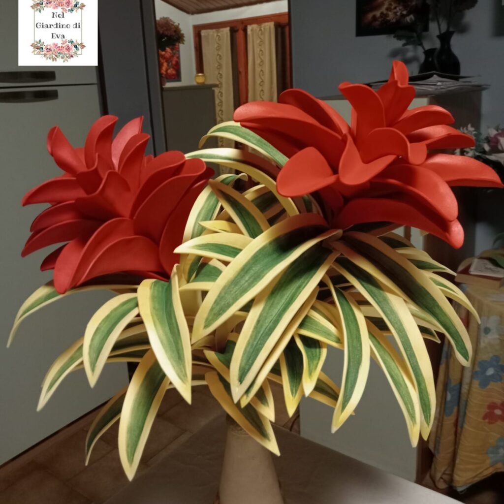 pianta di bromelia