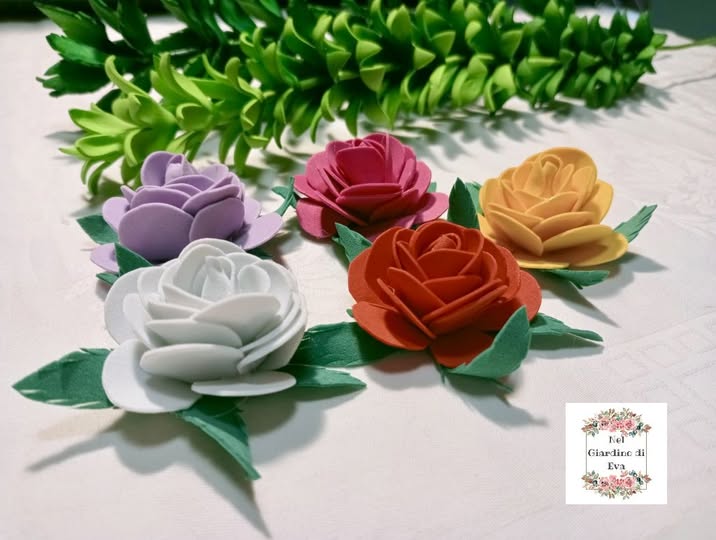mini rose